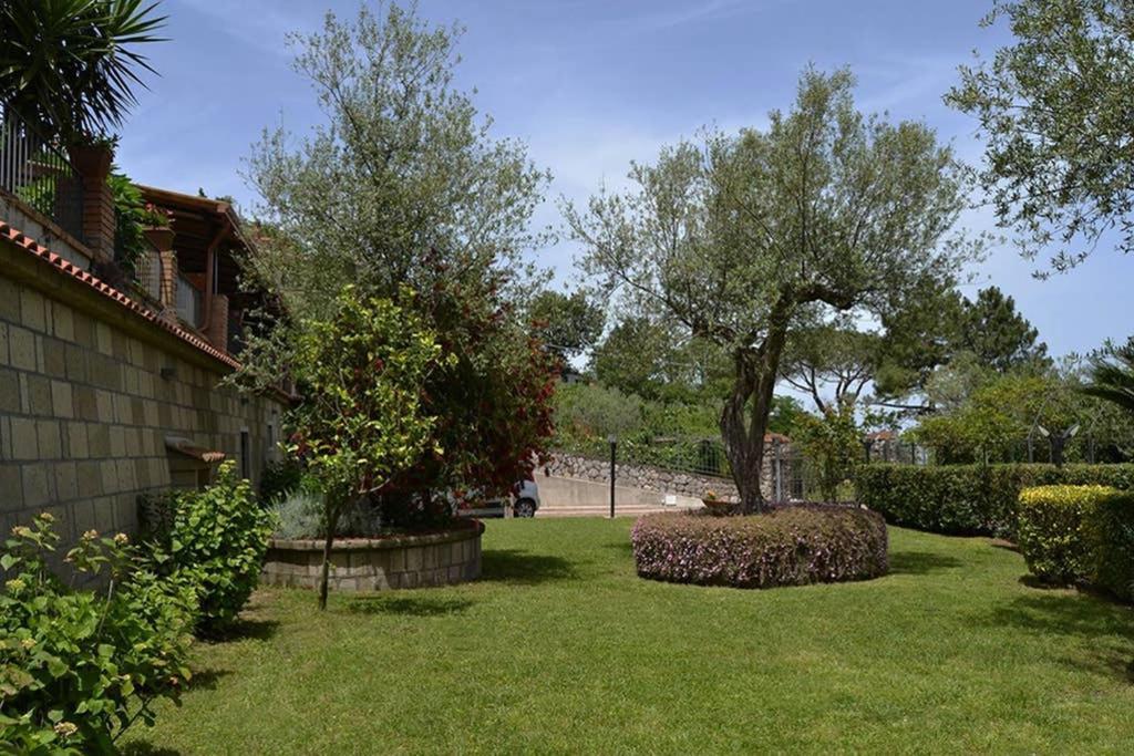 Apartment Casa Joyce *