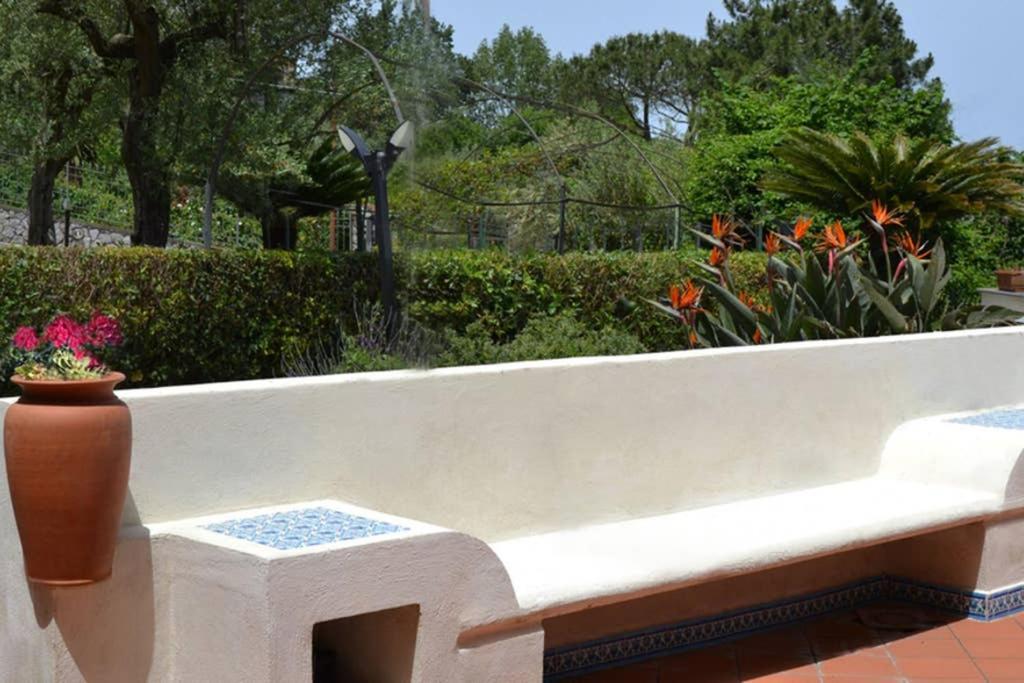 Apartment Casa Joyce *