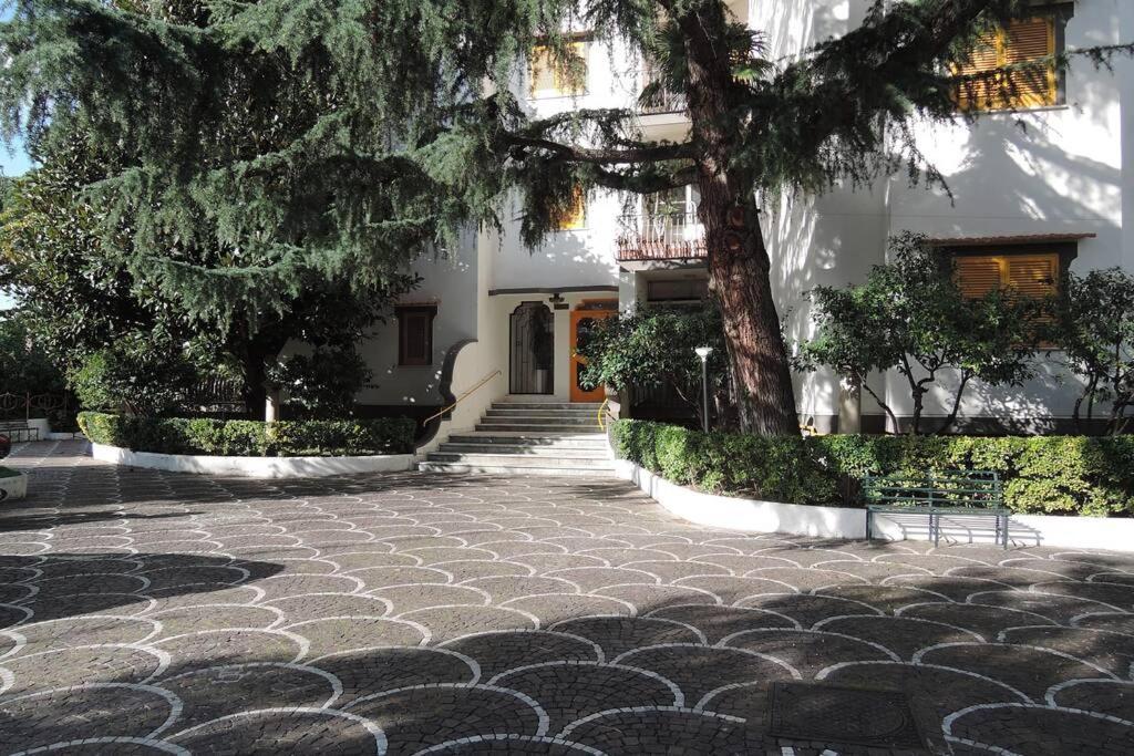 Virginia's Appartement