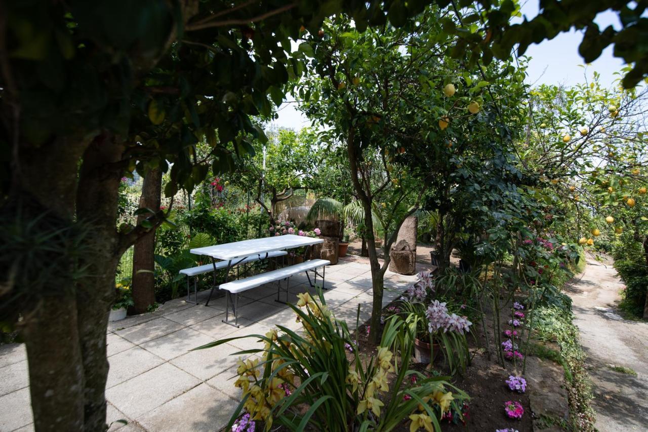 San Valerio Appartement