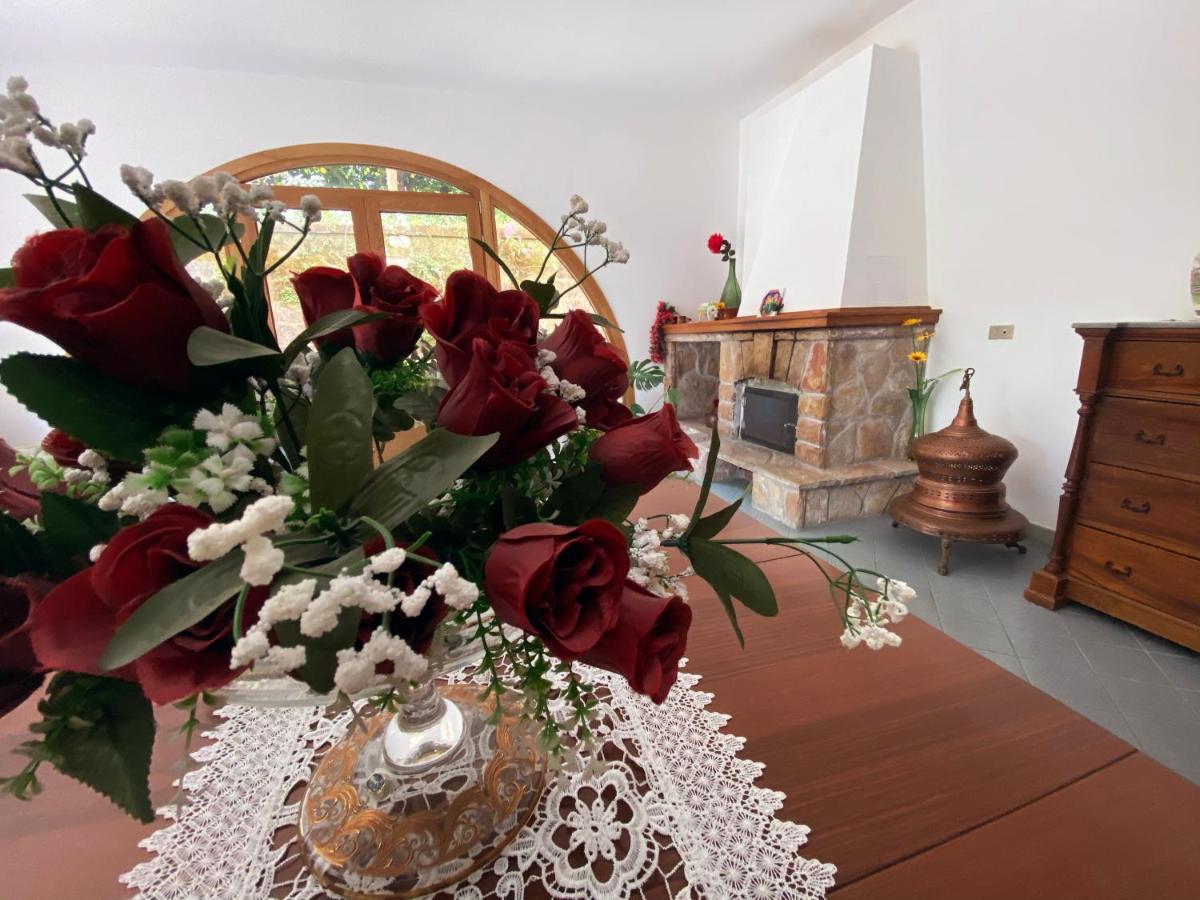 Achille Appartement *