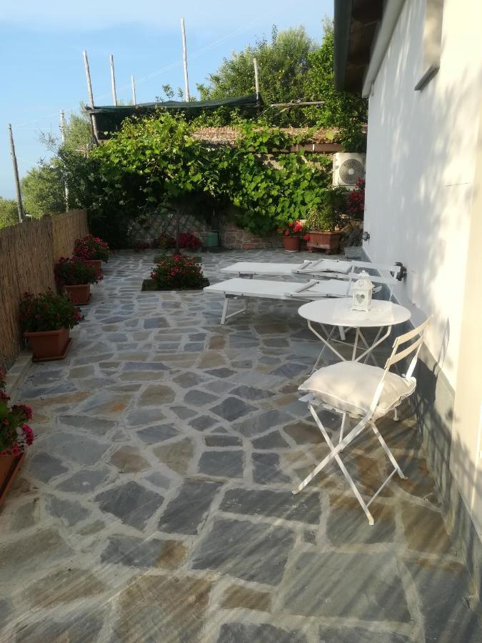 Casa Vacanza L'ulivo