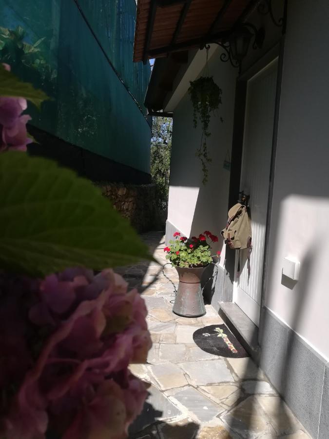 Casa Vacanza L'ulivo *