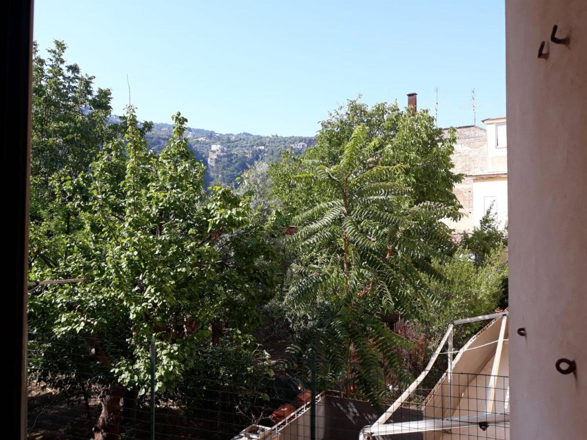 Apartment Rita Flat *