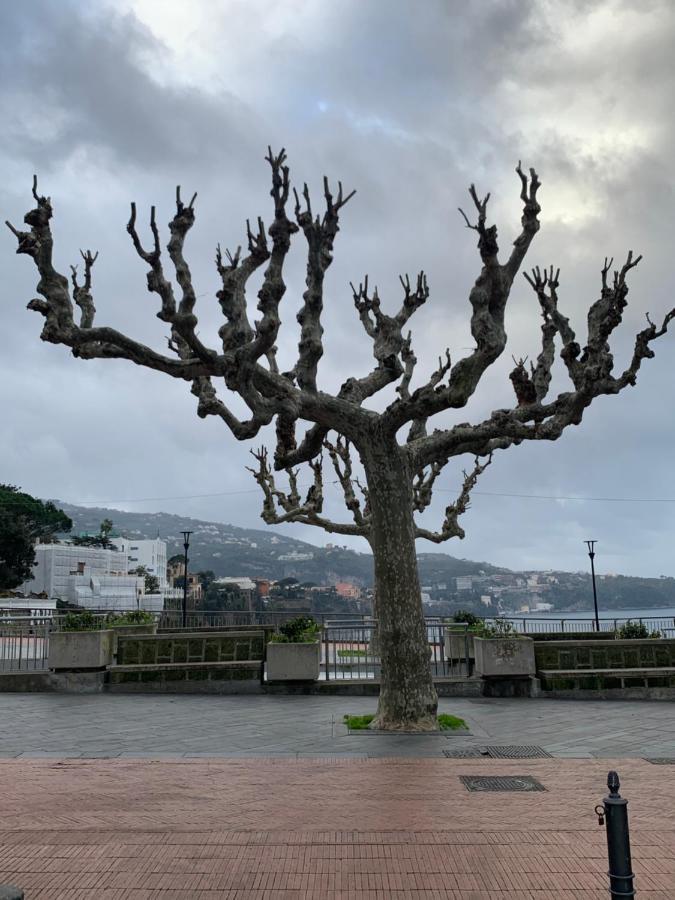 Aparthotel La Dimora Di Cornelia Sorrento