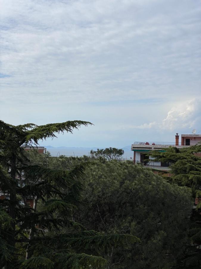 Sorrento Inn Lodge *