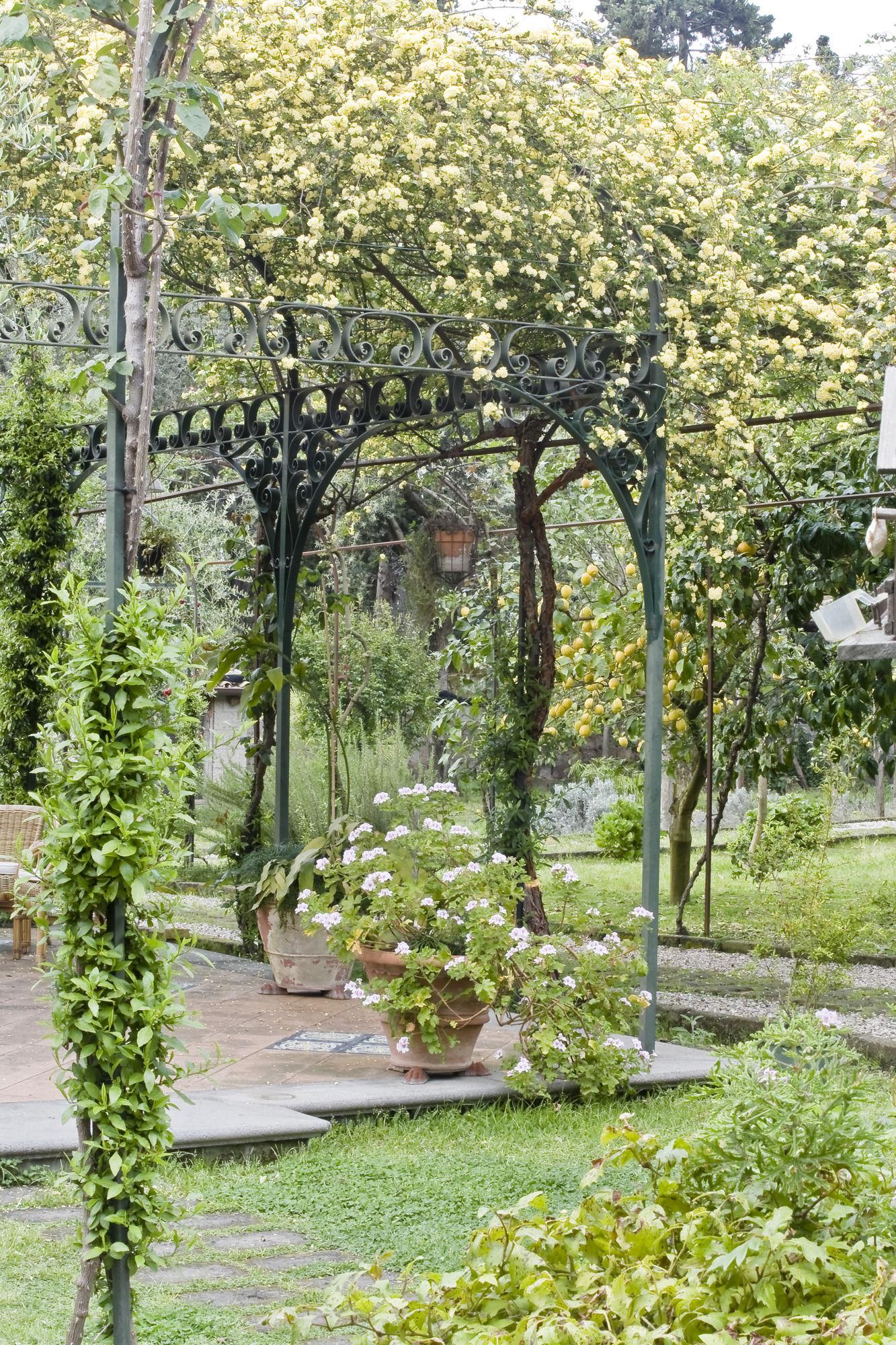 Lidia Bed & Breakfast 3*