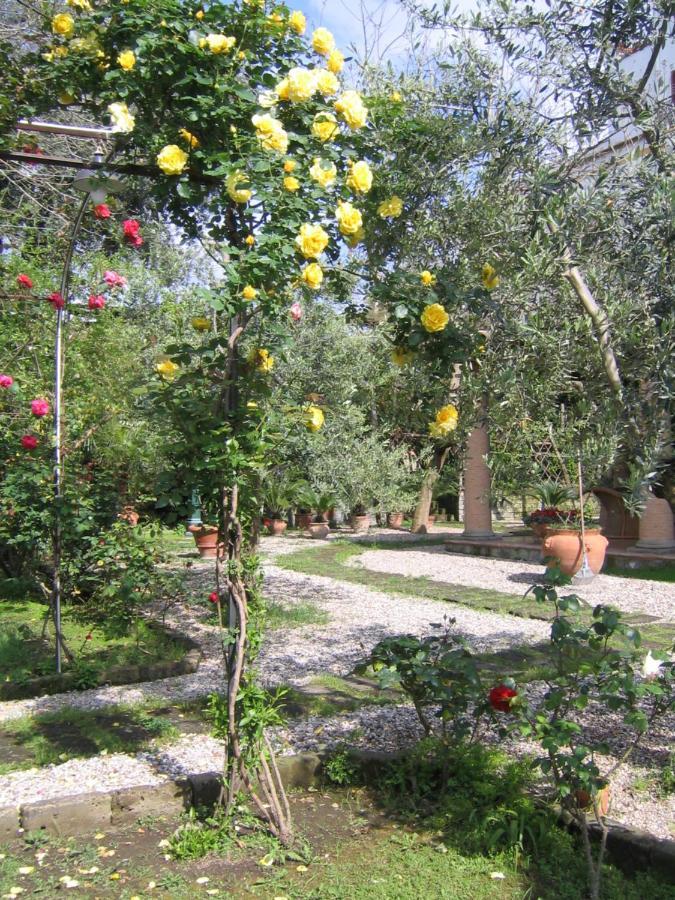 Lidia Bed & Breakfast *