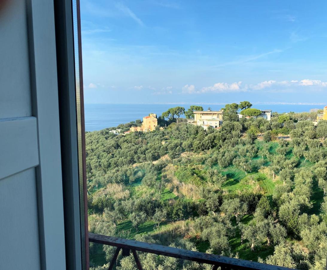 Dania Hotel