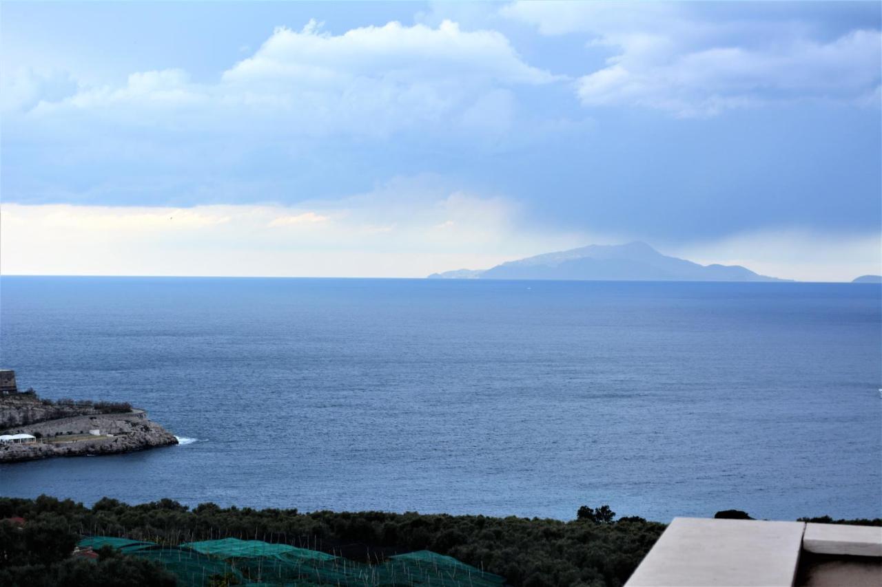 Hotel Dania 3*