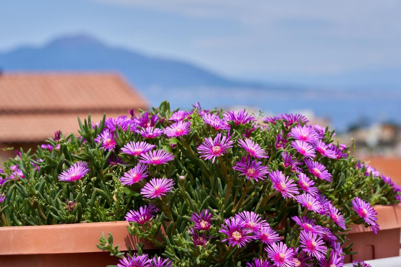 Sine Tempore Apartment *