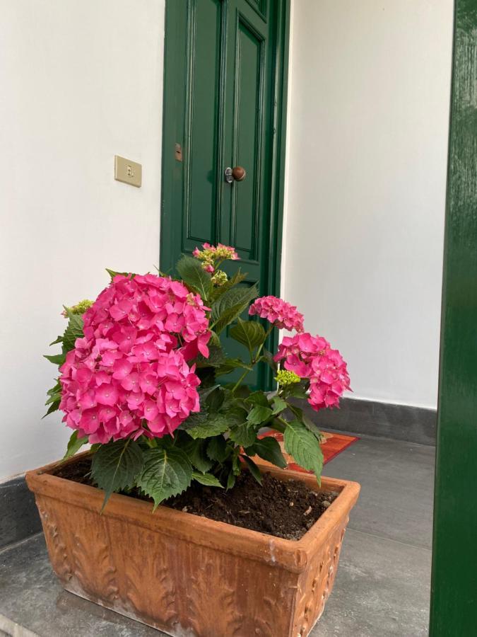 Apartment Enjoy Sorrento