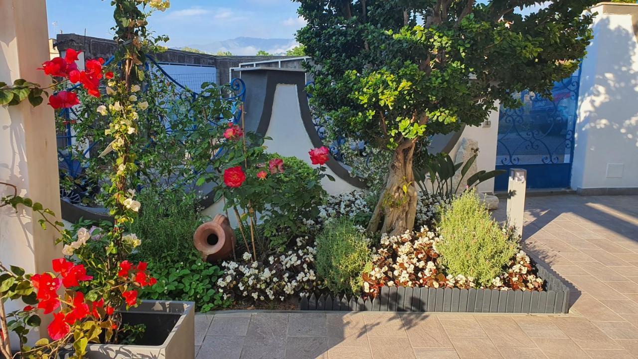 Garden * Sorrento