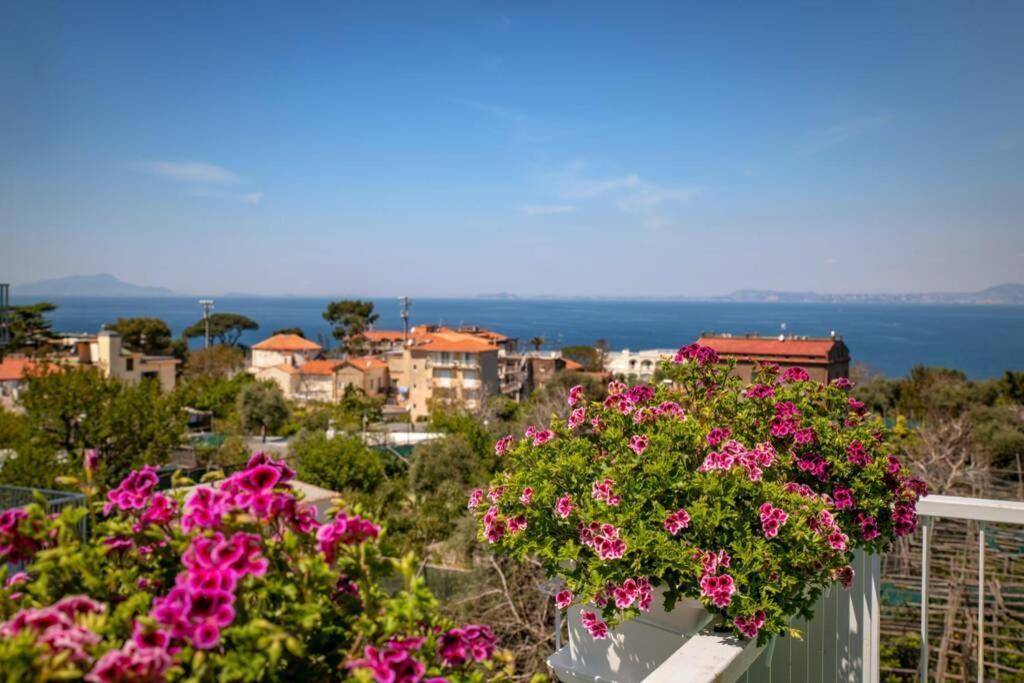 White House - Casa Sorrento