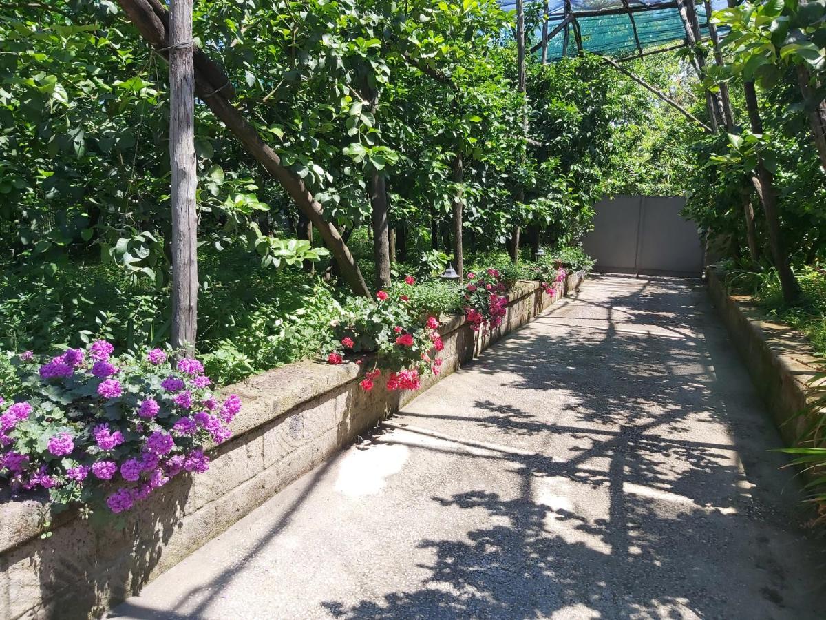 Sosò Bed & Breakfast