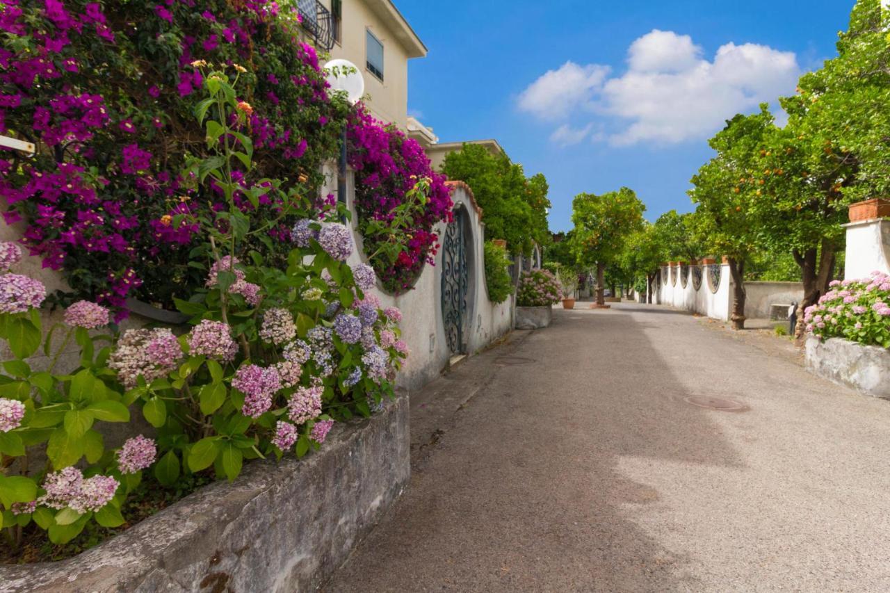 Bed & Breakfast Cri&gio Sorrento