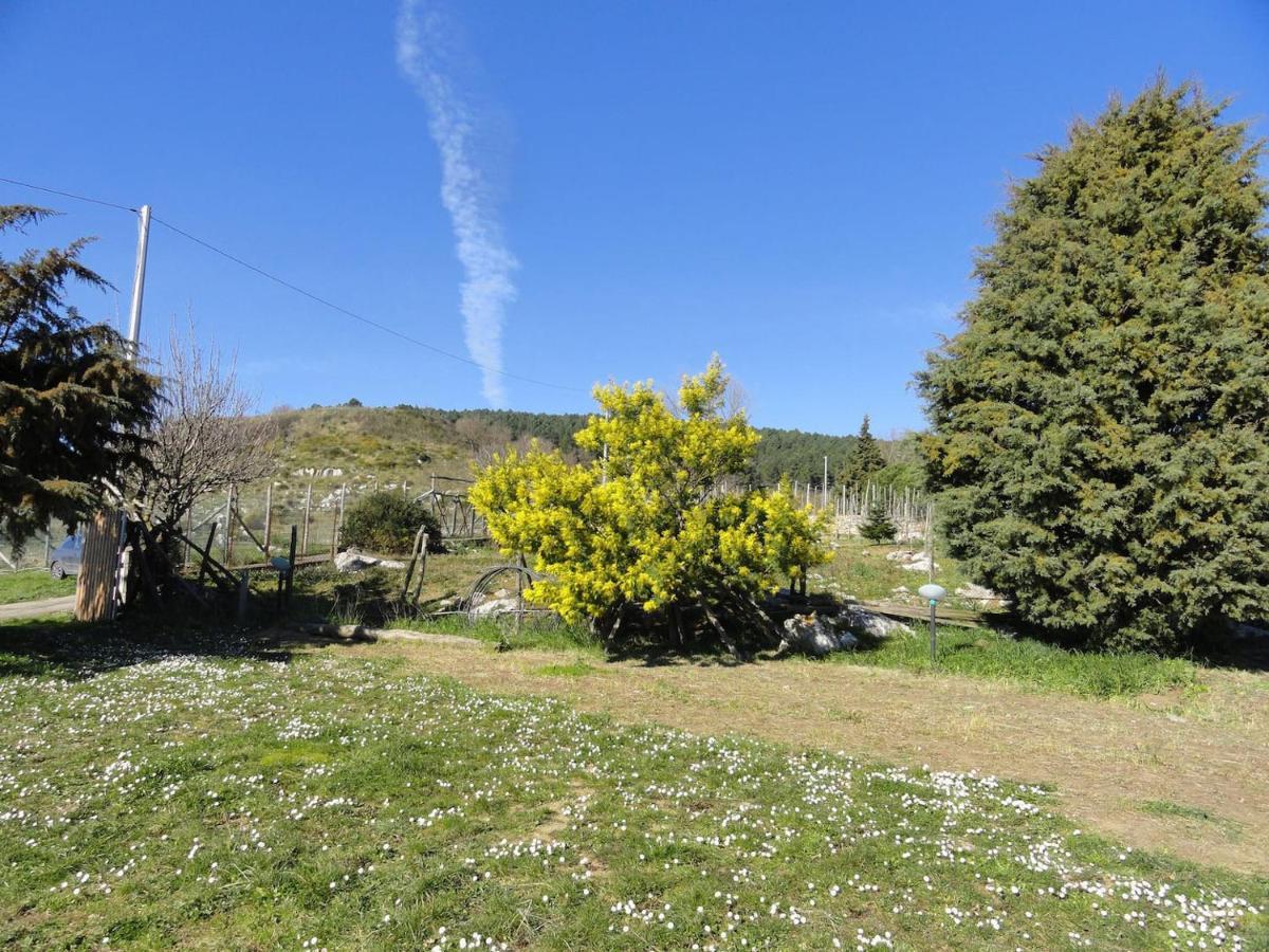 Holiday home - Casa Le Tore Blu *