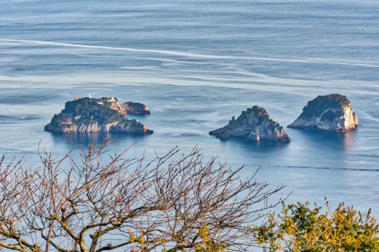 - Casa Le Tore Blu Holiday home