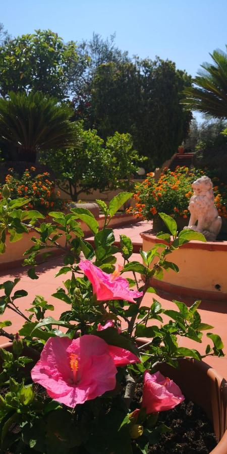 Igea Hotel Sorrento
