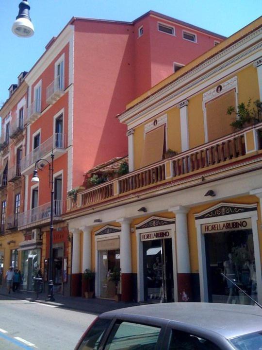 Guest house New Domus 2*