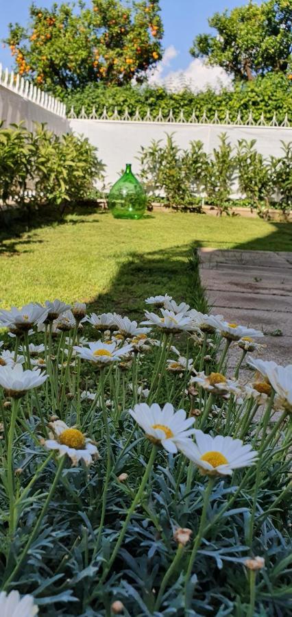 Bed & Breakfast Maison Ligea