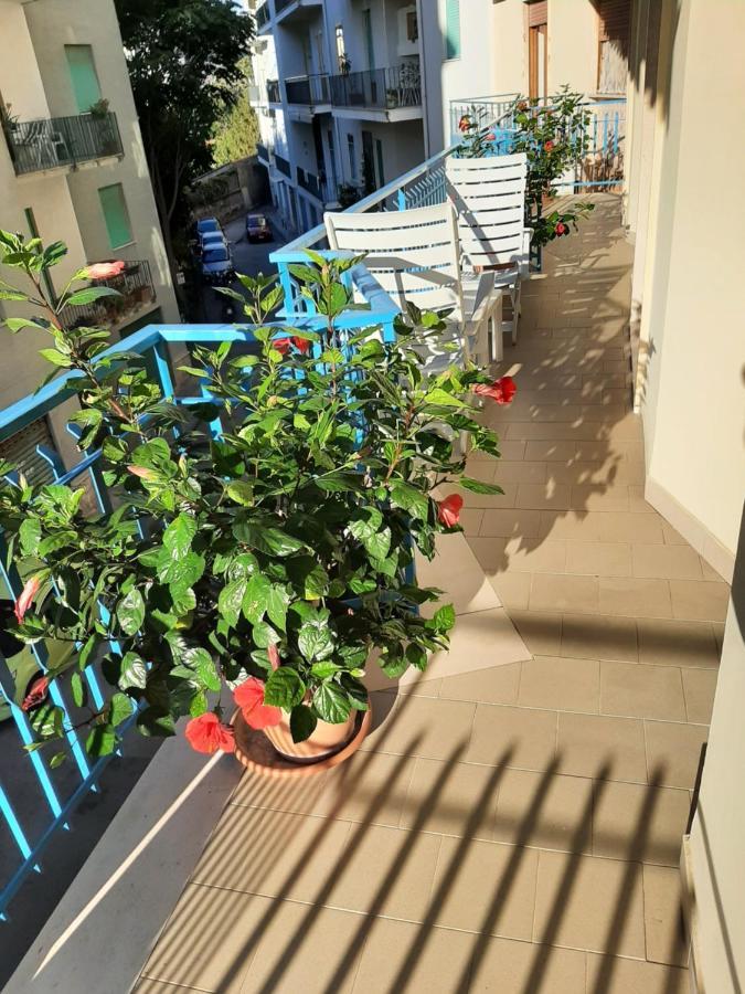 L'ammonite Bed & Breakfast