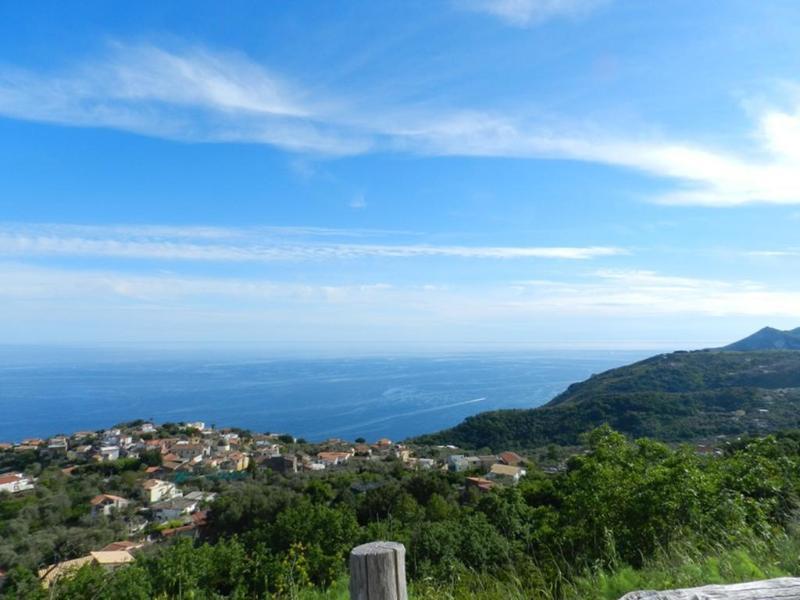 Azienda Agricola Fattoria Terranov Farm stay