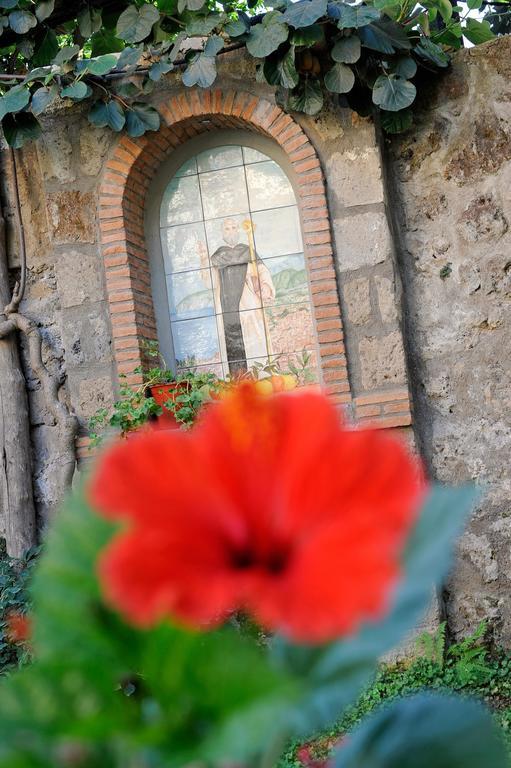 Relais Angiolina Guest house