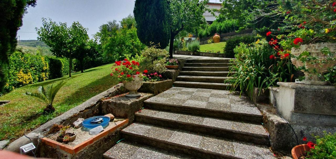 Casa Gaia Sorrento Bio Vacanze * Sorrento
