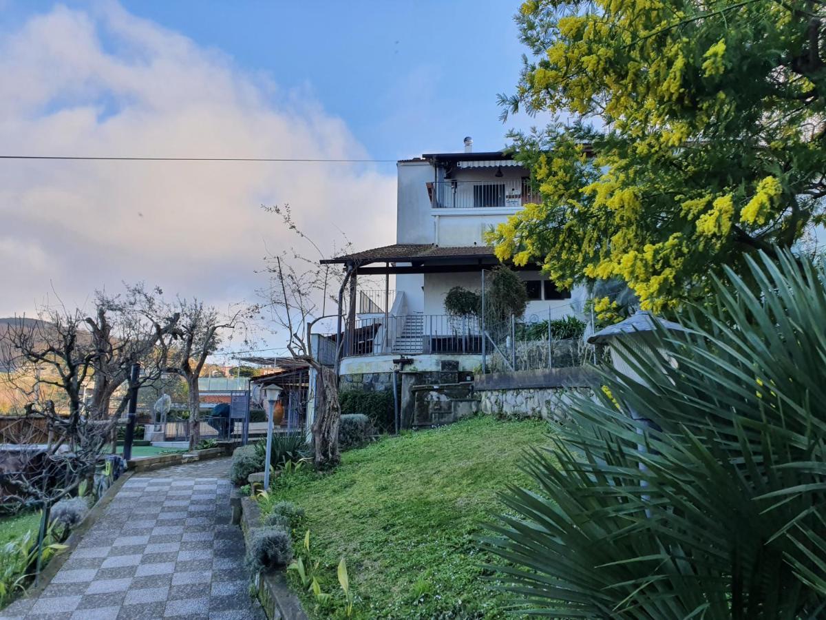Casa Gaia Sorrento Bio Vacanze Sorrento