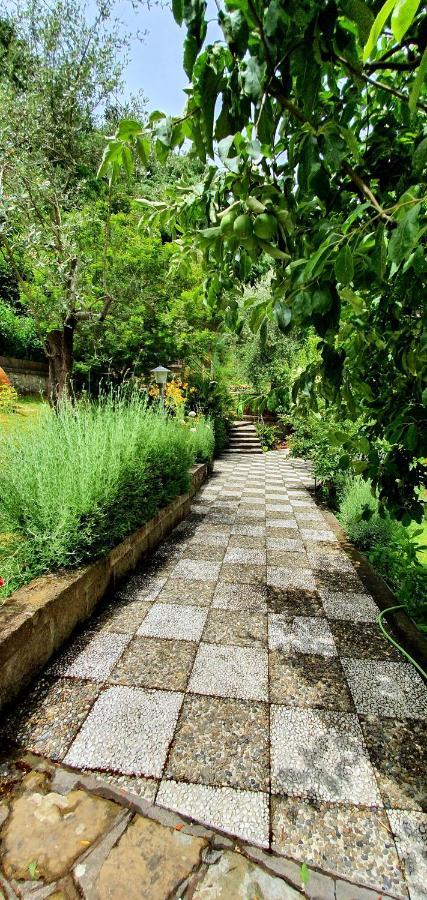Casa Gaia Sorrento Bio Vacanze Sorrento
