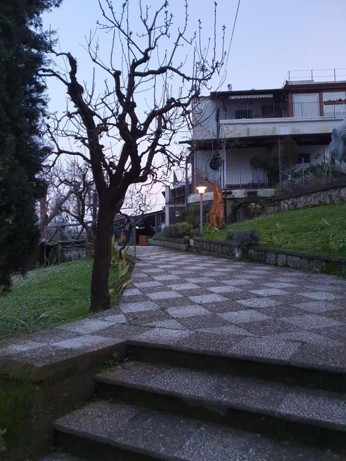 Bed & Breakfast Casa Gaia Sorrento Bio Vacanze