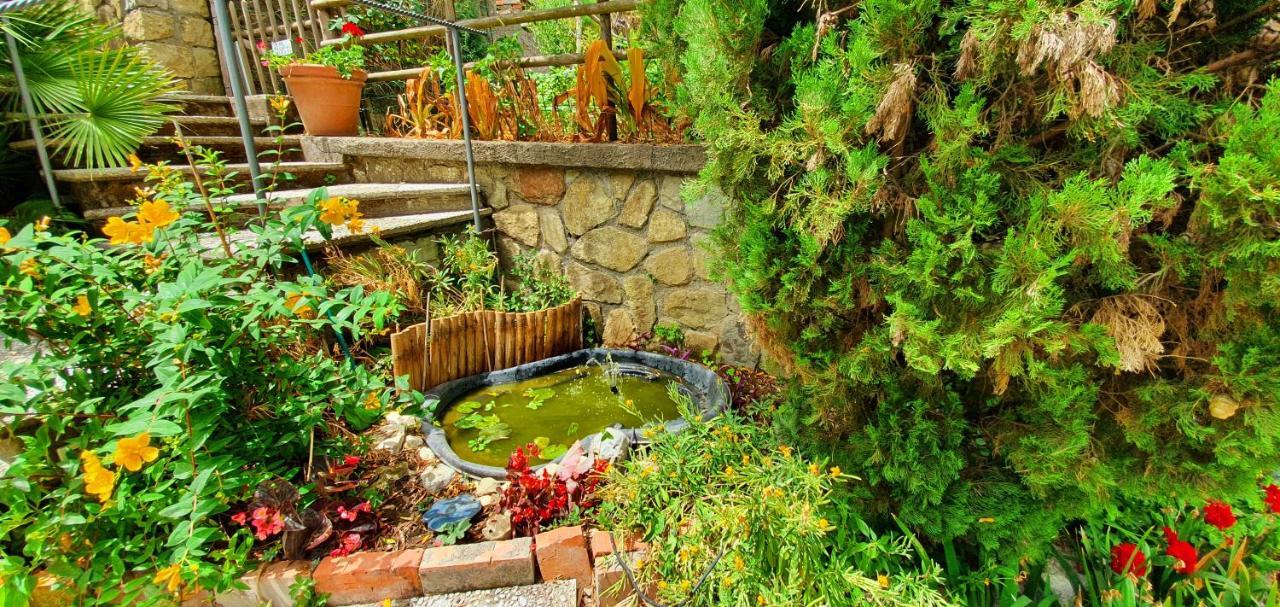 Bed & Breakfast Casa Gaia Sorrento Bio Vacanze Sorrento