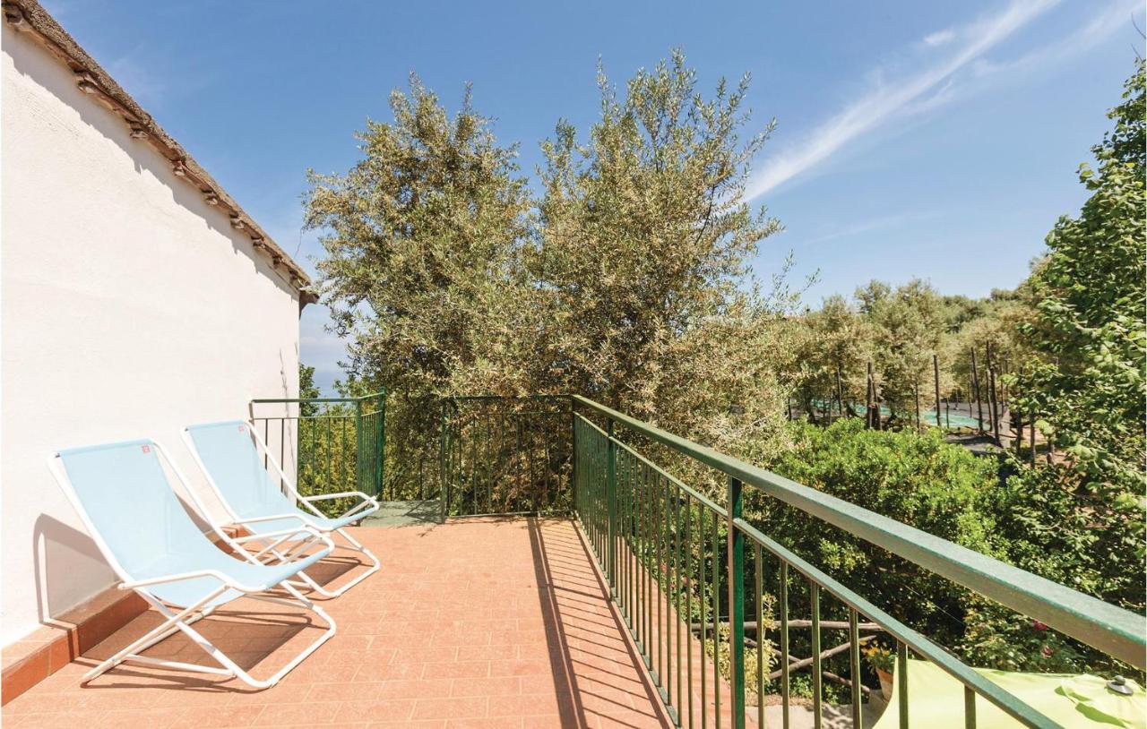 Vakantiehuis Dellolivo *