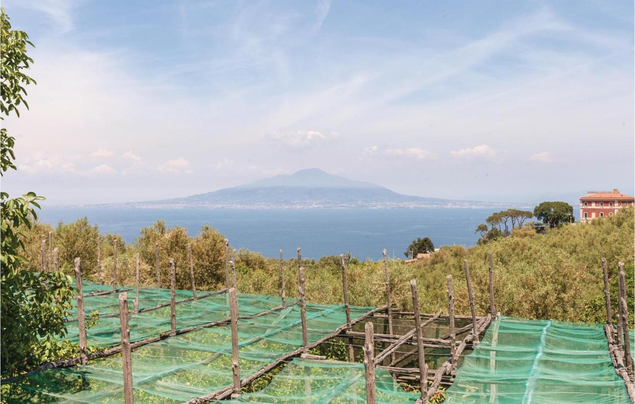 Holiday home La Limonaia *