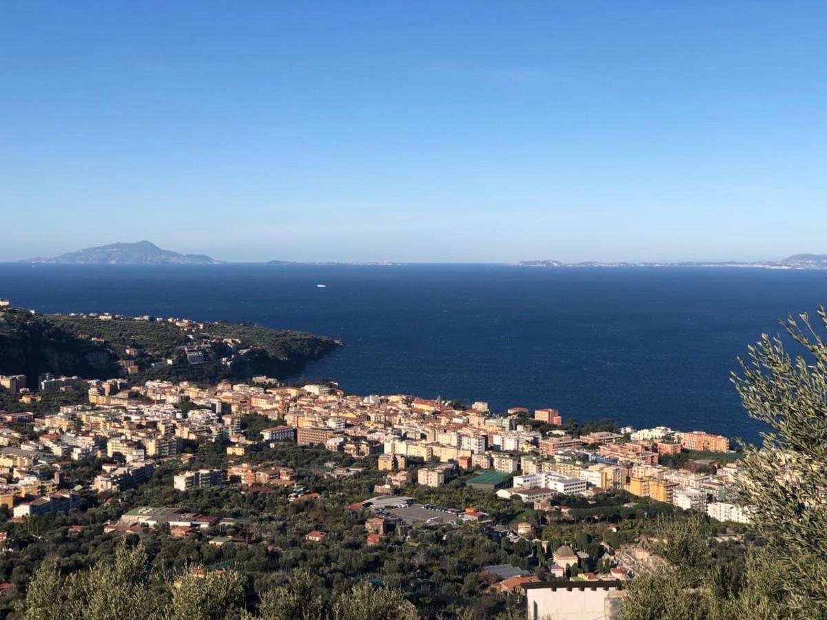 L'orto Di Grace Holiday home Sorrento