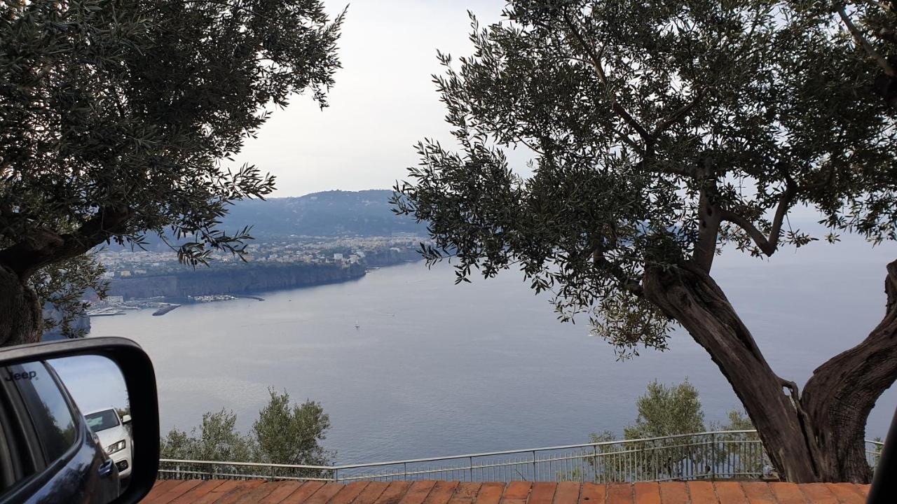 Appartement Grimaldi Guest *