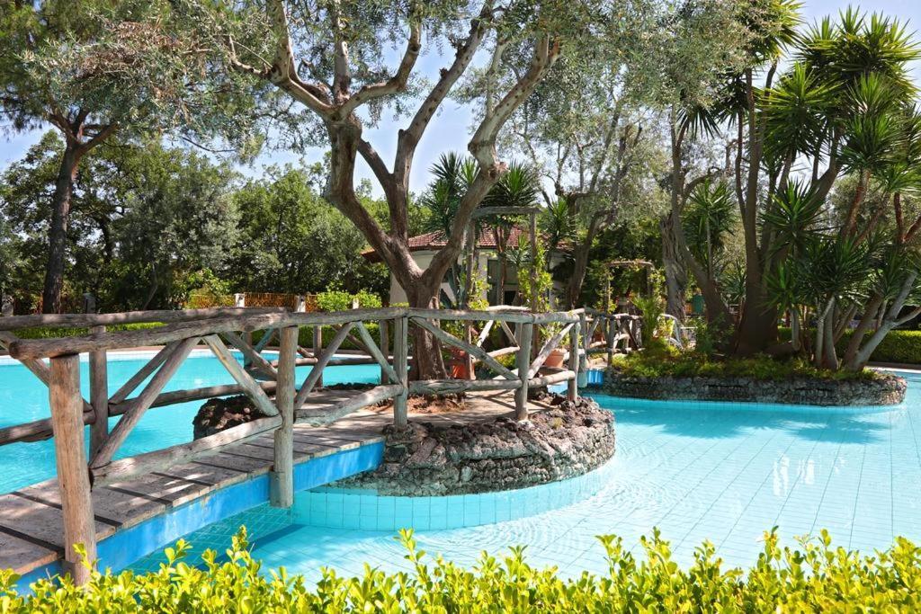 Pool *