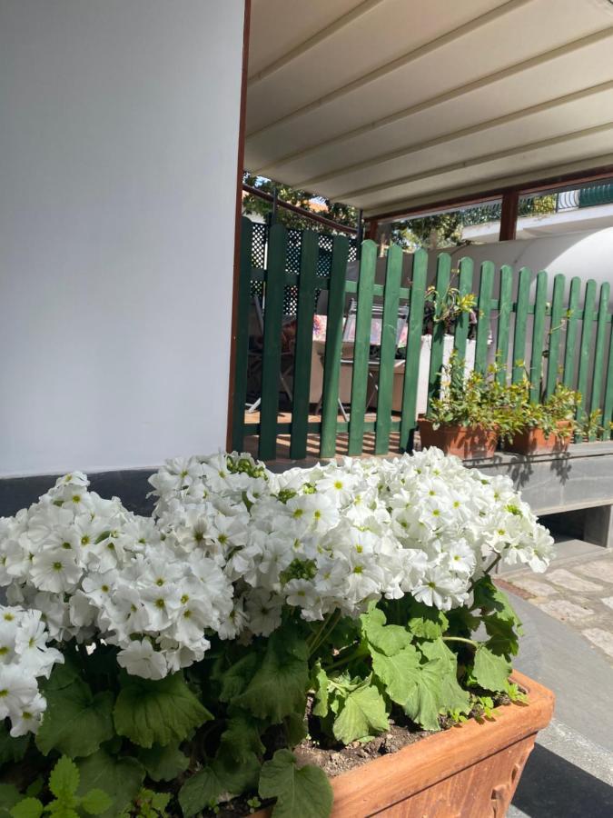Enjoy Apartment Sorrento
