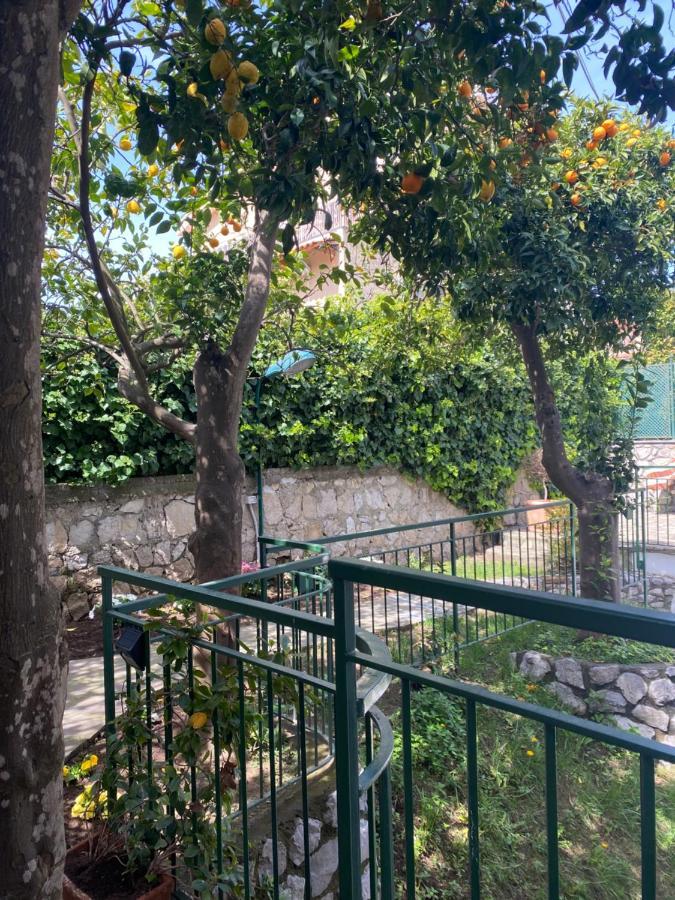 Enjoy Apartment Sorrento