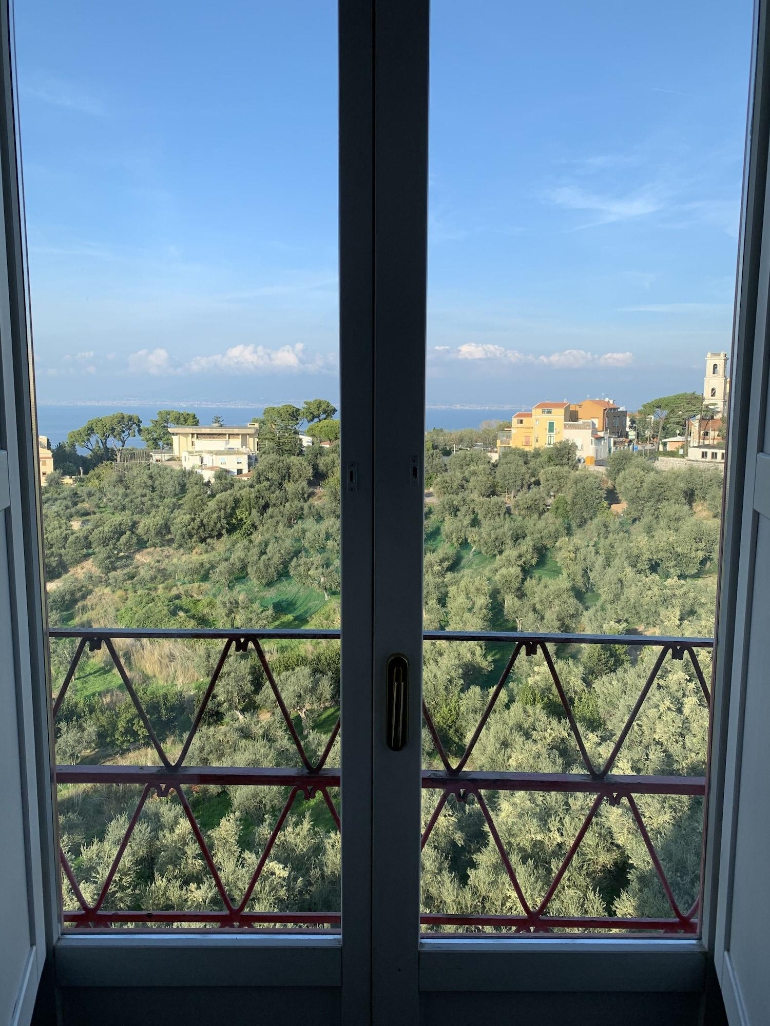 Dania Hotel Sorrento