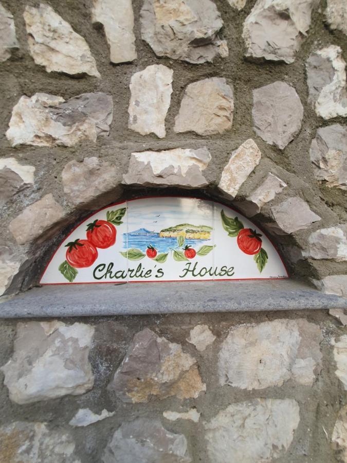 Charlie's House *