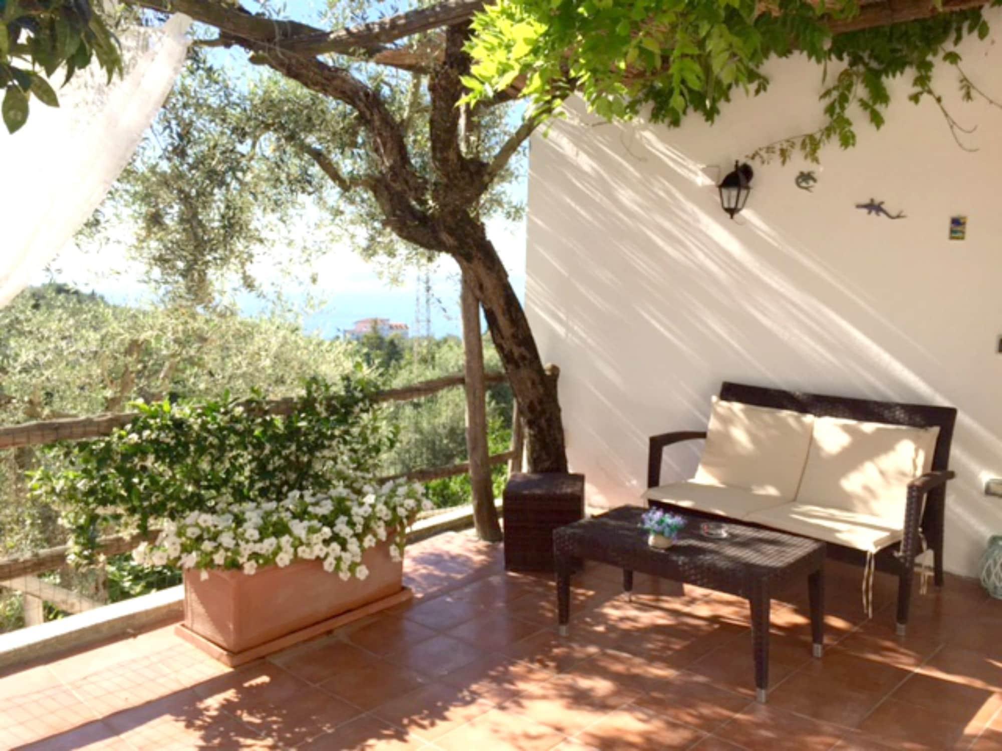 Villa Carolina Sorrento Private Heated Mini Pool And Sea View