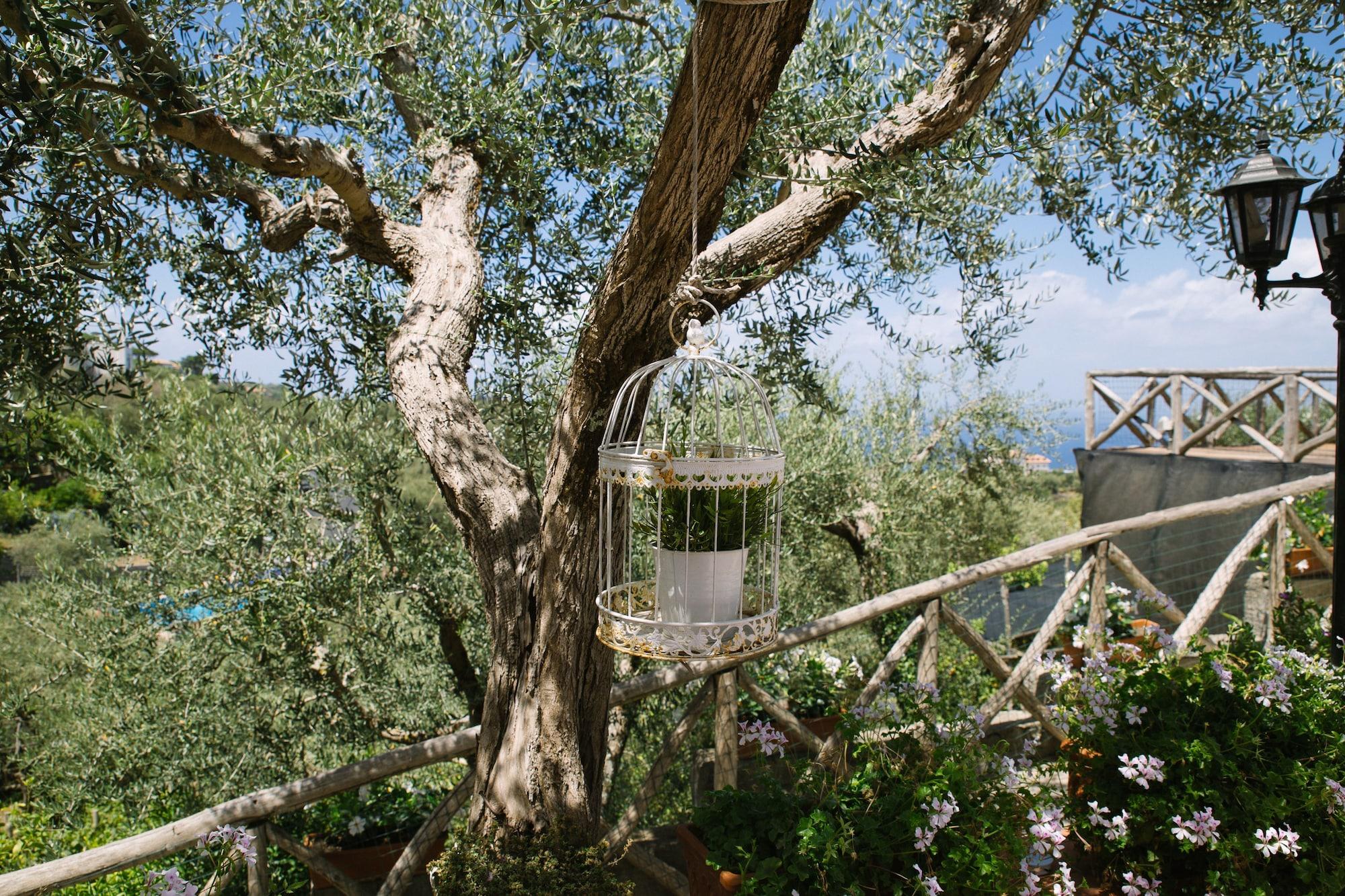 Villa Villa Carolina Sorrento Private Heated Mini Pool And Sea View