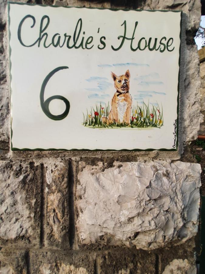 Apartment Charlie's House *