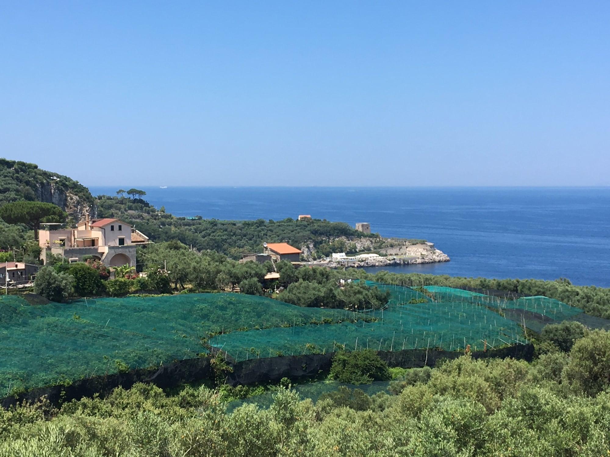 Dania Hotel Sorrento