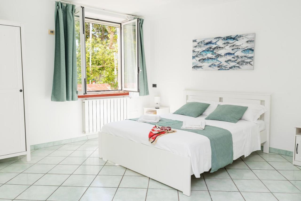 Apartment Aquamarine - City Center