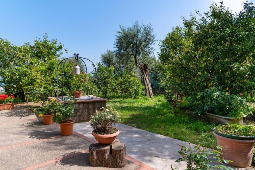 Sorrentovibes - Sea View Rooftop With Jacuzzi & Garden Casa de férias