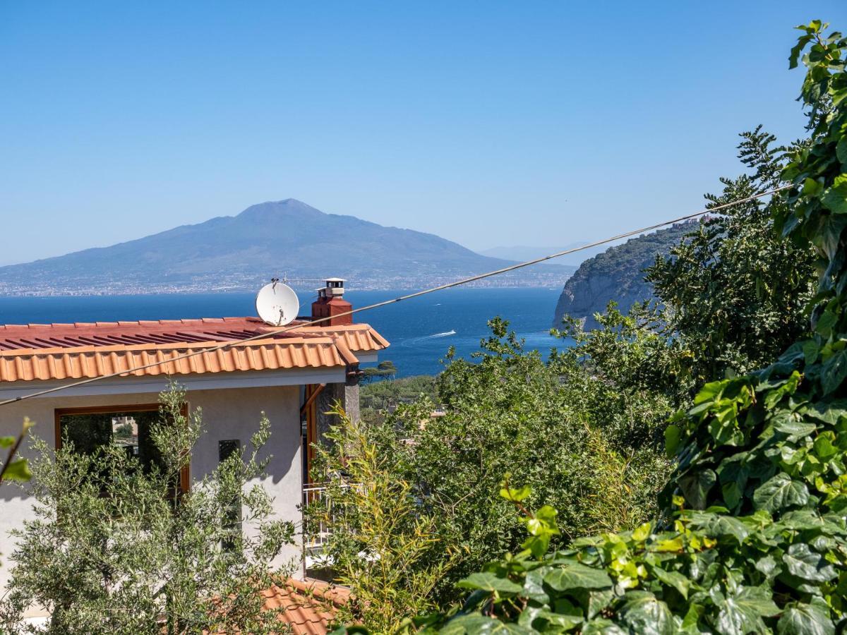 Ulivi Apt * Sorrento