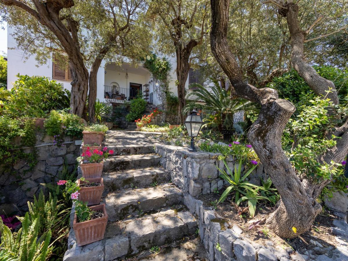 Ulivi Apt Holiday home *